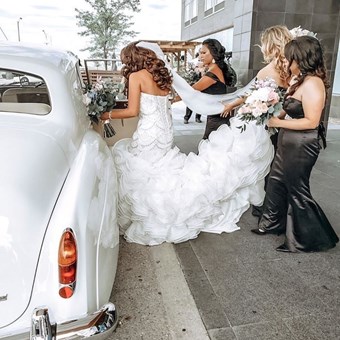 Wedding Dresses: Amanda-Lina's Sposa Bridal Boutique 11