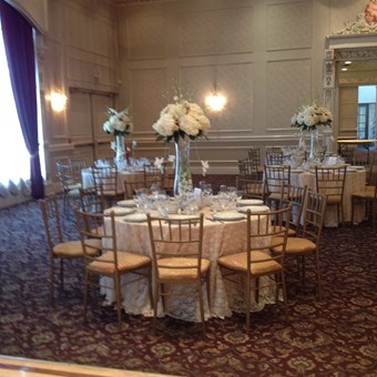 Chair Covers: Chair Covers Plus 21