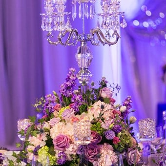 Wedding Planners: Devoted To You 8