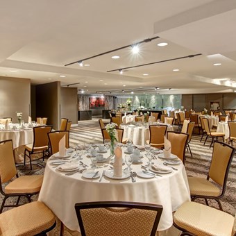 Hotels: DoubleTree by Hilton Toronto Downtown 12