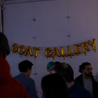 Galleries/Museums: Goat Gallery 29