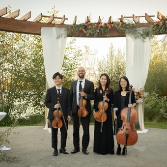 Live Music & Bands: Toronto Wedding Strings 3