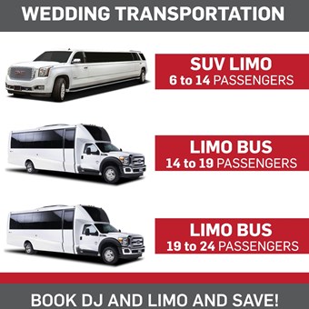 Limousines: Just For U Limo Bus 14