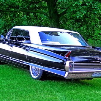 Limousines: Vintage Cadillac 19