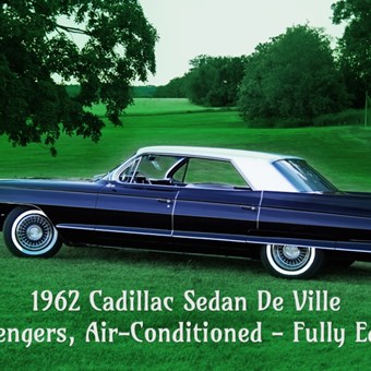 Limousines: Vintage Cadillac 14