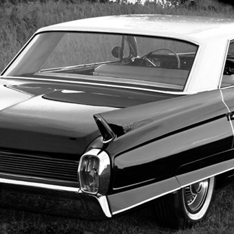 Limousines: Vintage Cadillac 5