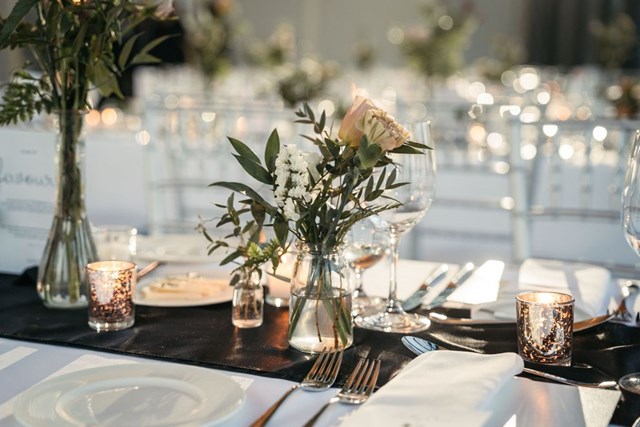 Bloom Scout, Burlington