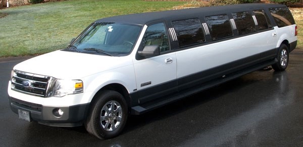 Limousines: A Celebrity Limousine 20