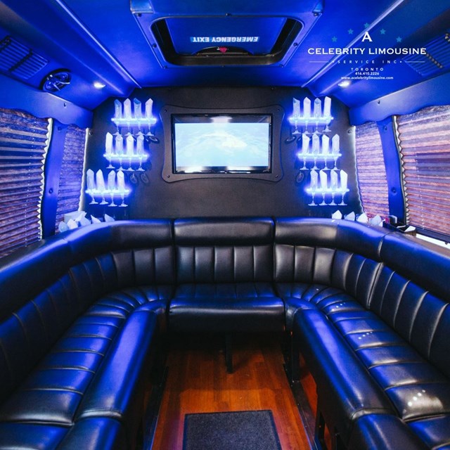 Limousines: A Celebrity Limousine 6