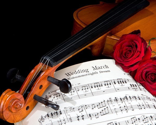 Live Music & Bands: Auspicious Melody ~ Violinist 16