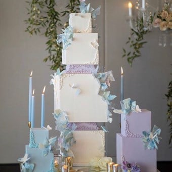 Wedding Cakes: Cake Creations by Michelle 9