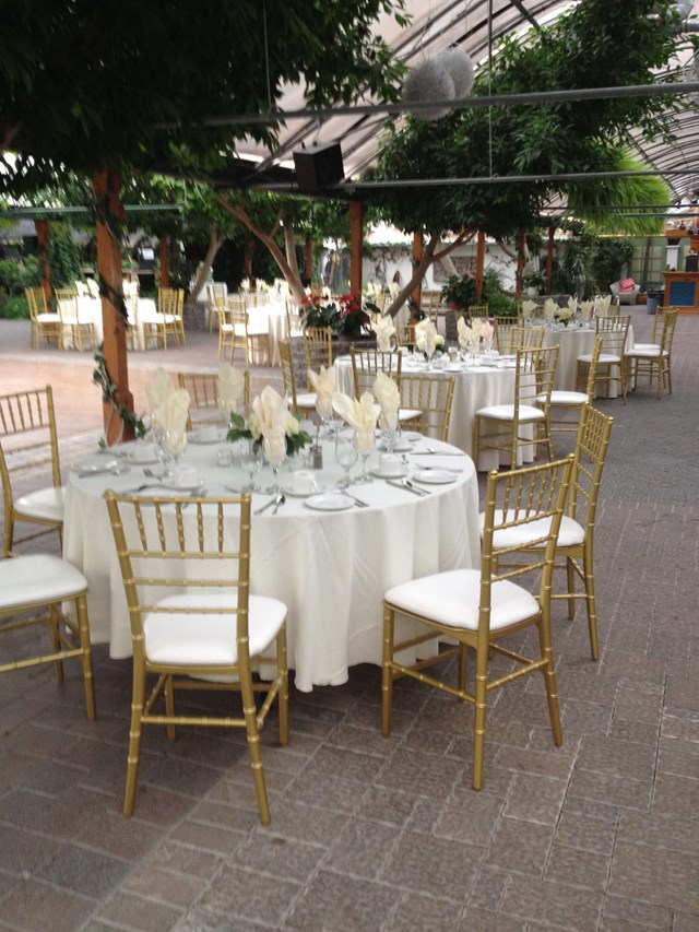 Chair Covers: Chair Covers Plus 21