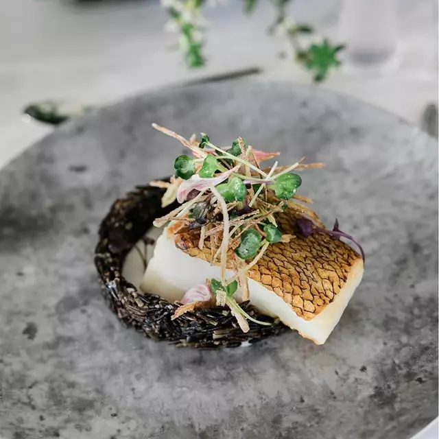 Private Chefs: Chef de la Mesa 48