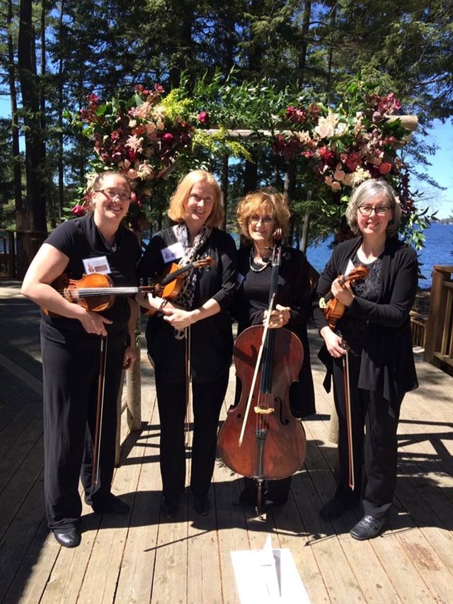 Live Music & Bands: Classic String Quartet 5