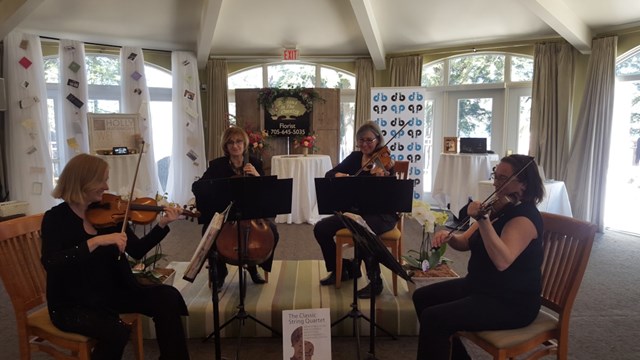 Live Music & Bands: Classic String Quartet 2