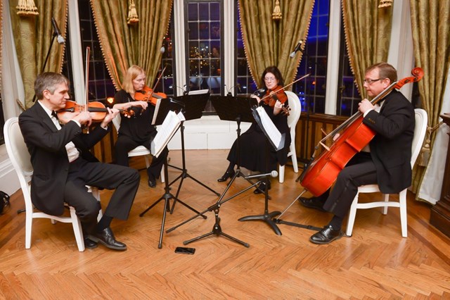 Live Music & Bands: Classic String Quartet 1