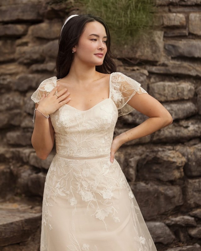 Wedding Dresses: David's Bridal 5