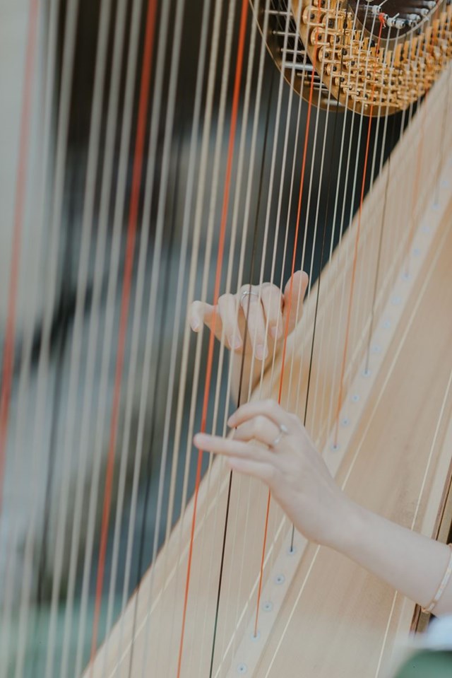 Live Music & Bands: Denise Fung, Harpist 5