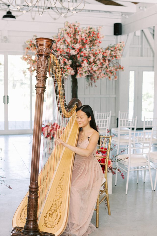 Live Music & Bands: Denise Fung, Harpist 3