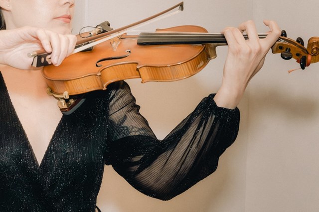 Live Music & Bands: Ellen Daly - Violinist 4