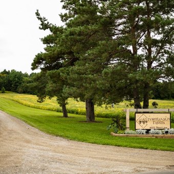 Barn Venues: Fermanagh Farms 3