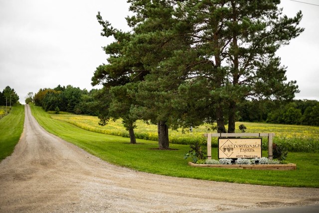 Barn Venues: Fermanagh Farms 1