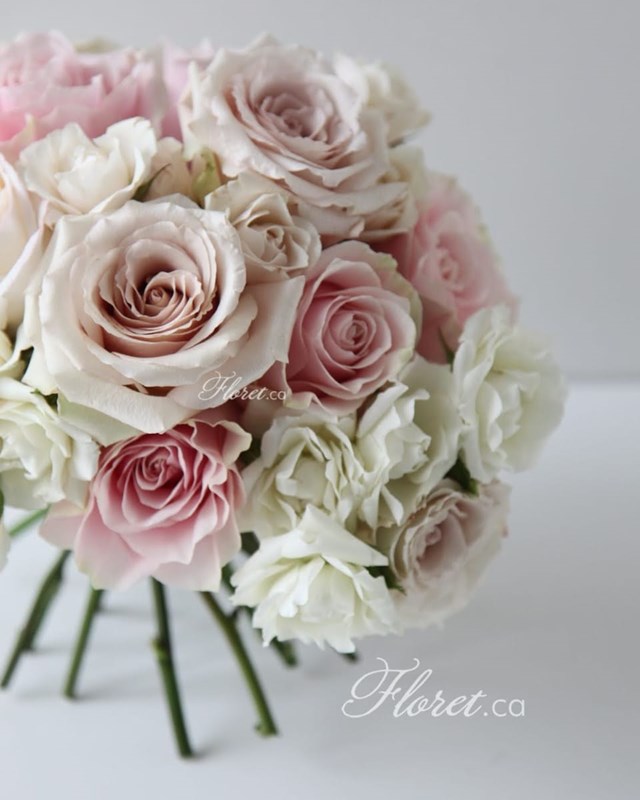 Florists: Floret 11