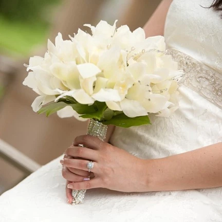 Freedman Photography, Toronto