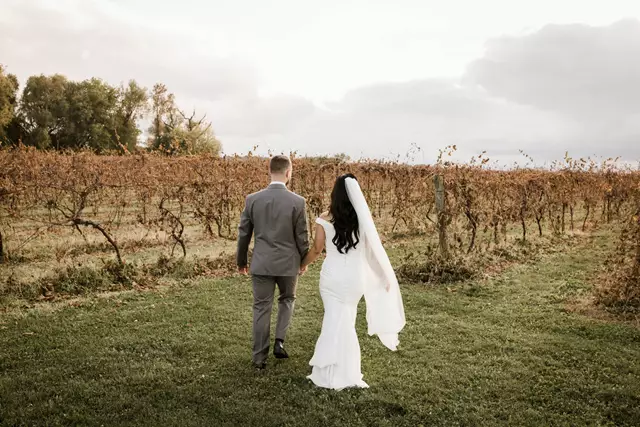 Wineries: Holland Marsh Wineries 3