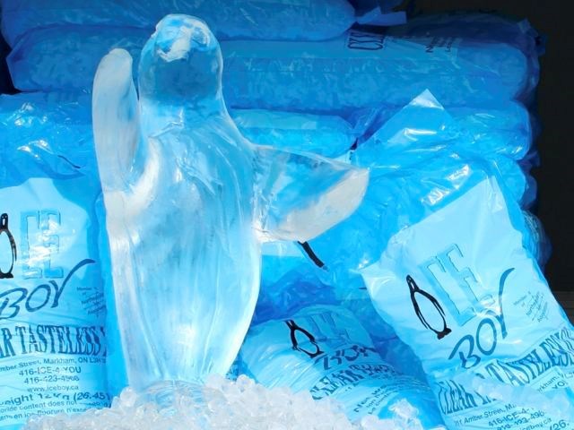 Ice Sculptures: Ice Boy 20