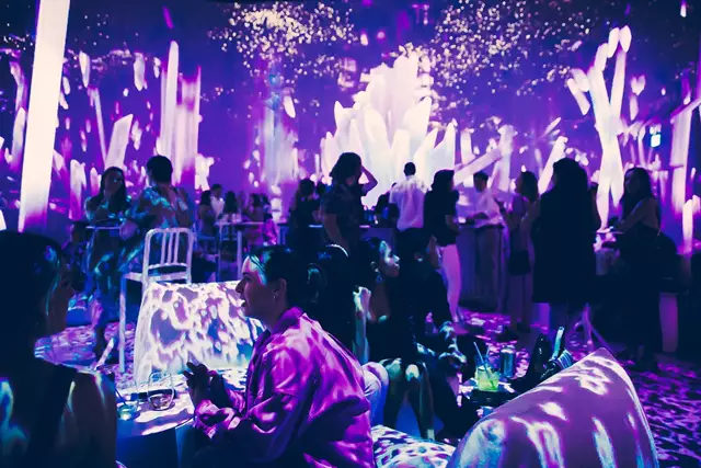 Entertainment Venues: Illuminarium 5