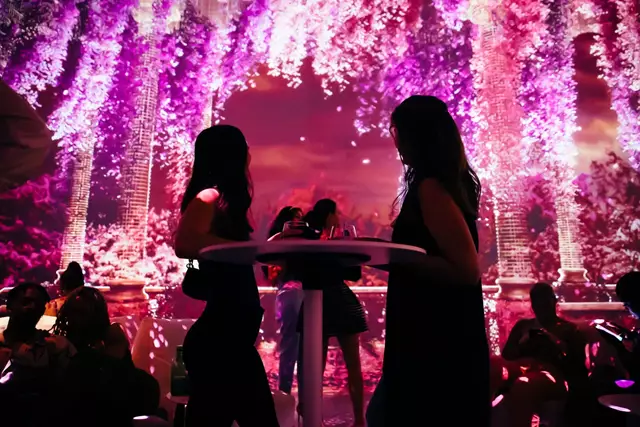 Entertainment Venues: Illuminarium 2