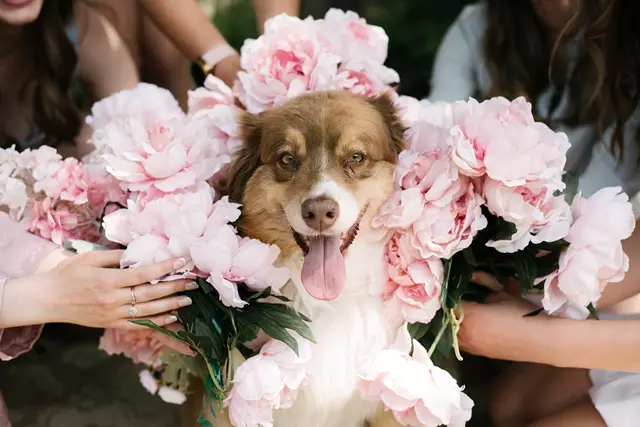 Photographers: Jessica Laforet Photography 4