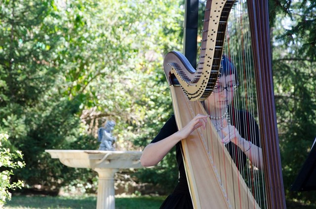 Live Music & Bands: Liane James - Harpist 1