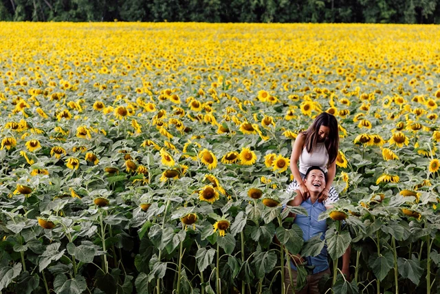 Liight Photography, Toronto