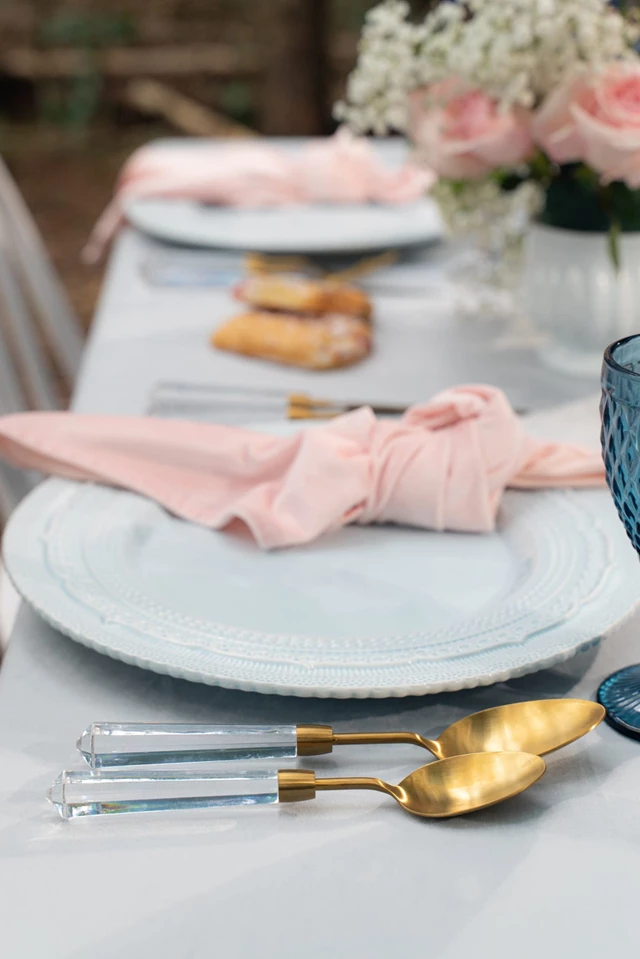 Tableware Rentals: Pisani Wedding Tabletop Rental 13