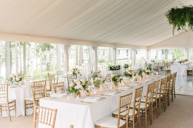 Tent Rentals: Premier Event Tent Rentals 17