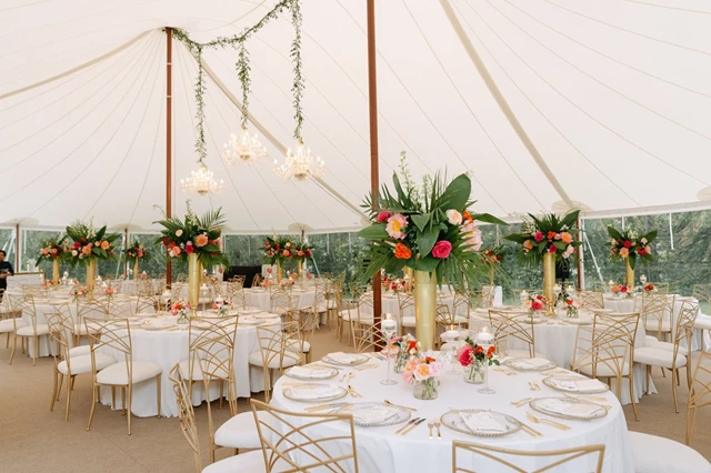 Tent Rentals: Premier Event Tent Rentals 15