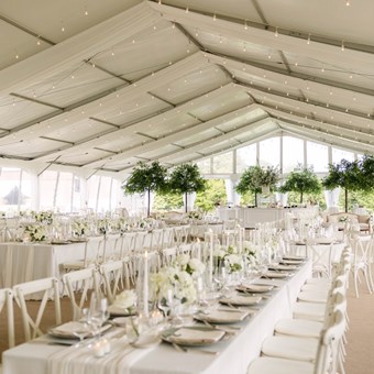 Tent Rentals: Premier Event Tent Rentals 3