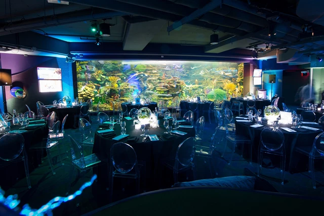 Galleries/Museums: Ripley's Aquarium of Canada 4