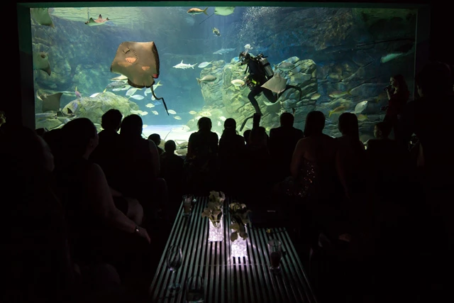 Galleries/Museums: Ripley's Aquarium of Canada 18