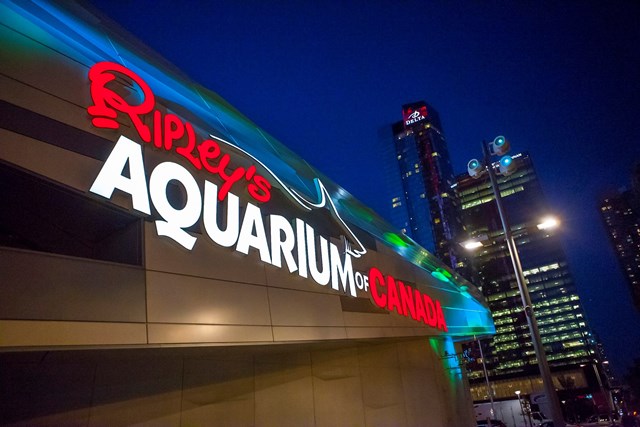 Galleries/Museums: Ripley's Aquarium of Canada 29