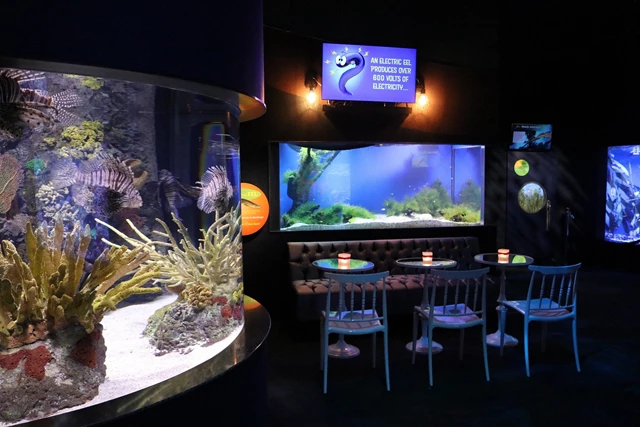 Galleries/Museums: Ripley's Aquarium of Canada 2