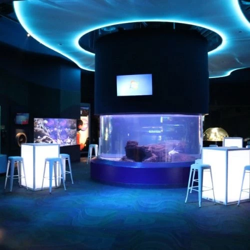 Galleries/Museums: Ripley's Aquarium of Canada 17