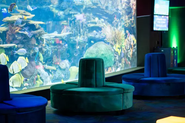 Special Event Venues: Ripley's Aquarium of Canada 22