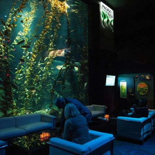 Galleries/Museums: Ripley's Aquarium of Canada 11