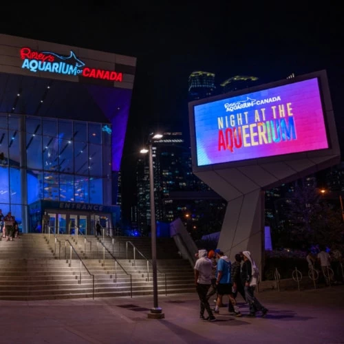 Galleries/Museums: Ripley's Aquarium of Canada 12