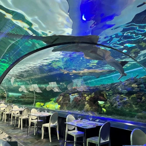 Galleries/Museums: Ripley's Aquarium of Canada 3