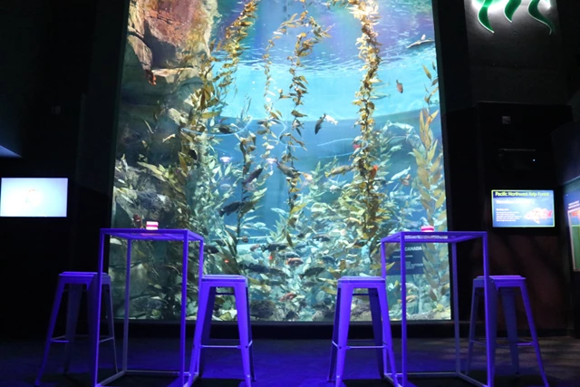 Special Event Venues: Ripley's Aquarium of Canada 21
