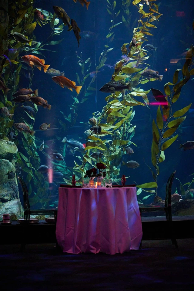 Special Event Venues: Ripley's Aquarium of Canada 20